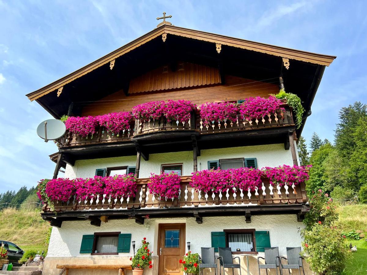 Appartement Sunnseit - Kitzbüheler Alpen Sankt Johann in Tirol Exterior foto